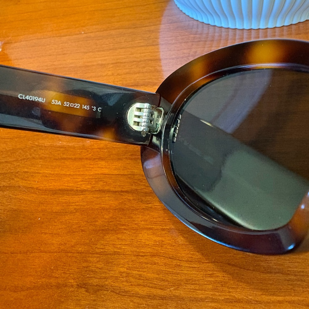 Celine Triomphe 01 Sunglasses in Acetate - Picture 10 of 15
